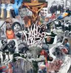 Who Cares (CAN) : Demo Who Cares (CAN) : Demo